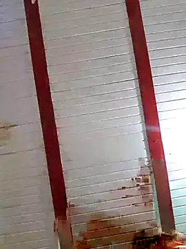 Zaralu  online show from 10-08-25, 07:00