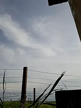 Snapshot of bull_Giant chatting on 12-22-24, 02:49 bull Giant online show from 12-22-24, 02:49