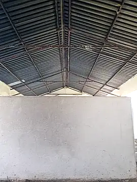 Snapshot of bull_Giant chatting on 12-24-24, 02:44 bull Giant online show from 12-24-24, 02:44