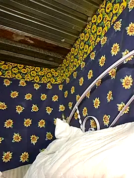 Snapshot of bull_Giant chatting on 02-03-25, 02:47 bull Giant online show from 02-03-25, 02:47