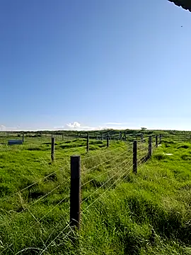 Snapshot of bull_Giant chatting on 02-22-25, 03:03 bull Giant online show from 02-22-25, 03:03