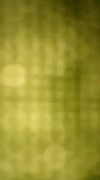 Snapshot of Sexybeer2005 chatting on 12-07-24, 10:06 Sexybeer2005 online show from 12-07-24, 10:06