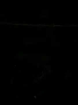 SnapIDRakesh4 online show from 11-27-25, 08:22