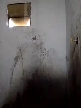 Snapshot of Percybr4561 chatting on 11-01-25, 01:13 Percybr4561 online show from 11-01-25, 01:13