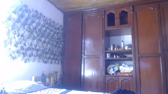 cougar town online show from 01-29-25, 04:52