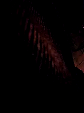 3anntel online show from 11-25-25, 10:43