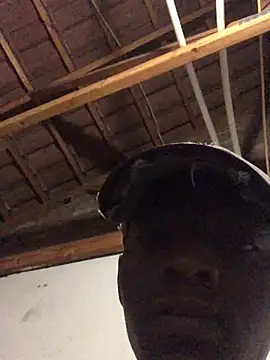 Snapshot of thekidrose chatting on 12-02-25, 05:35 thekidrose online show from 12-02-25, 05:35