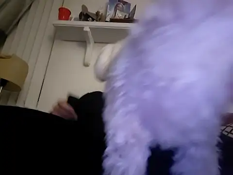 Hand69someguy online show from 01-10-26, 06:37