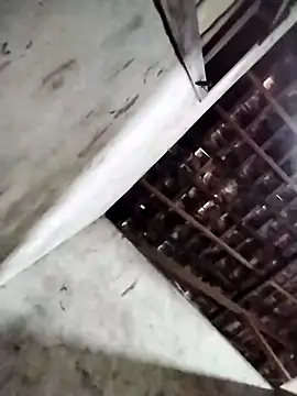 Leonelzain online show from 03-06-26, 04:42