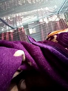 900irani online show from 12-17-24, 12:12