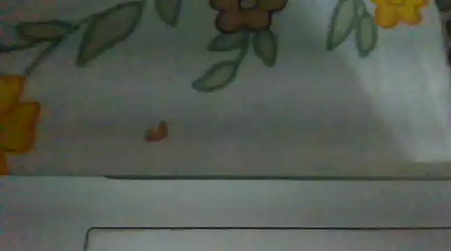 Snapshot of biggest_lund_ chatting on 12-28-24, 12:45 biggest lund online show from 12-28-24, 12:45