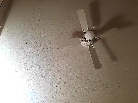 big8dall online show from 10-22-25, 07:52