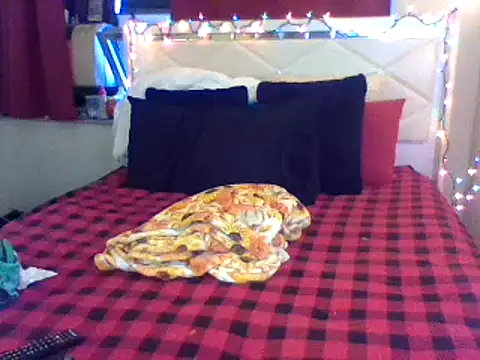 Snapshot of lachulalarubie chatting on 01-12-25, 10:01 lachulalarubie online show from 01-12-25, 10:01