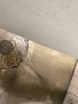 Snapshot of zeekBbc chatting on 12-10-24, 08:38 zeekBbc online show from 12-10-24, 08:38