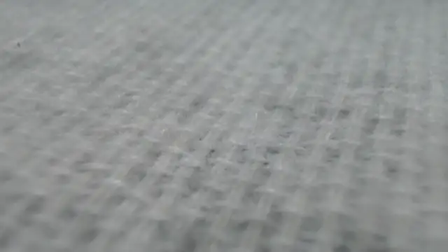  Zooee online show from 01-27-25, 04:22