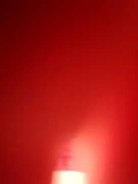 branquinho000007 online show from 11-12-25, 04:40