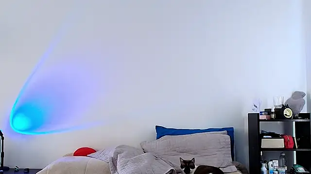 Snapshot of anika_lowen02 chatting on 02-06-25, 08:23 anika lowen02 online show from 02-06-25, 08:23