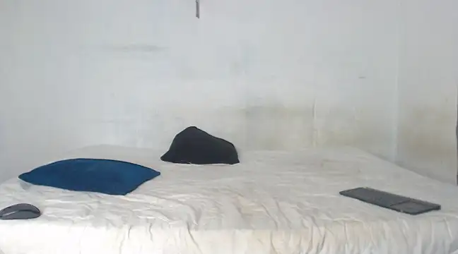 edwin mosquera1 online show from 12-21-24, 03:09