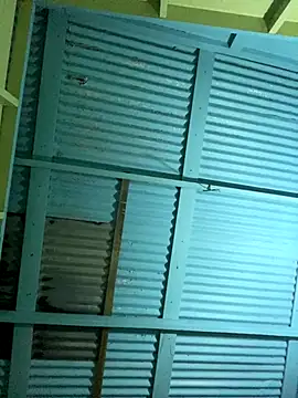 Snapshot of islandvybee55 chatting on 12-16-25, 05:01 islandvybee55 online show from 12-16-25, 05:01