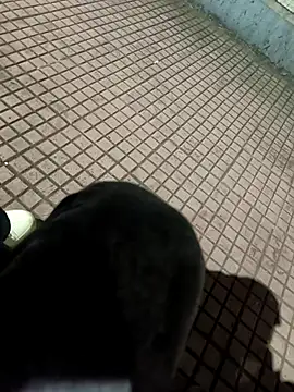 SurjS9 online show from 09-20-25, 03:35