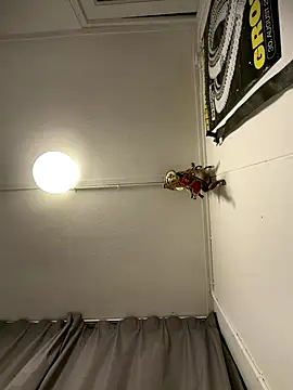 wolfwhite95 online show from 11-14-25, 11:57