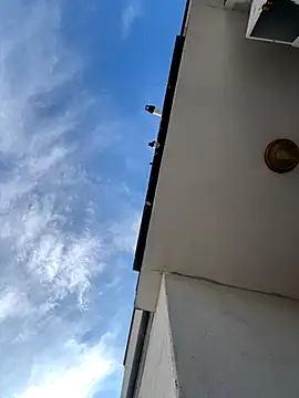 Snapshot of eddy355 chatting on 11-09-25, 09:51 eddy355 online show from 11-09-25, 09:51