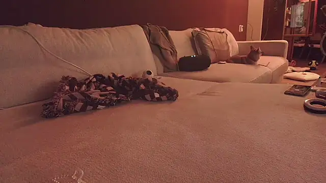 Nina24 online show from 10-16-25, 06:42