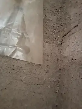 strip 1212 online show from 11-29-25, 05:27