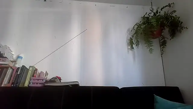 Tiramisu89 online show from 02-08-26, 10:57