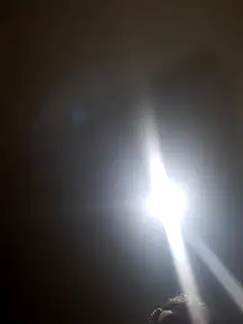 Colorao4 online show from 10-28-25, 07:34