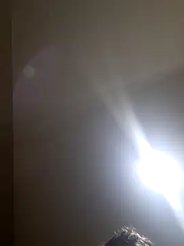 Colorao4 online show from 11-07-25, 11:32