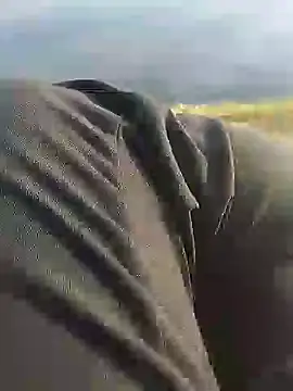 hexsmith96 online show from 12-18-24, 02:17