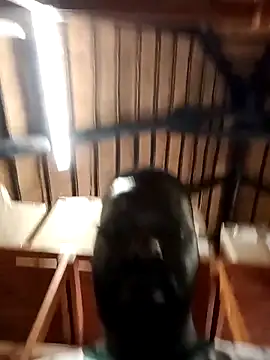 Snapshot of Touch_mysoul chatting on 10-26-25, 08:09 Touch mysoul online show from 10-26-25, 08:09