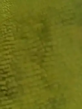 Snapshot of sadunt chatting on 12-17-25, 09:26 sadunt online show from 12-17-25, 09:26