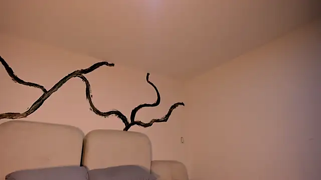 EthanTravis  online show from 02-11-25, 07:33