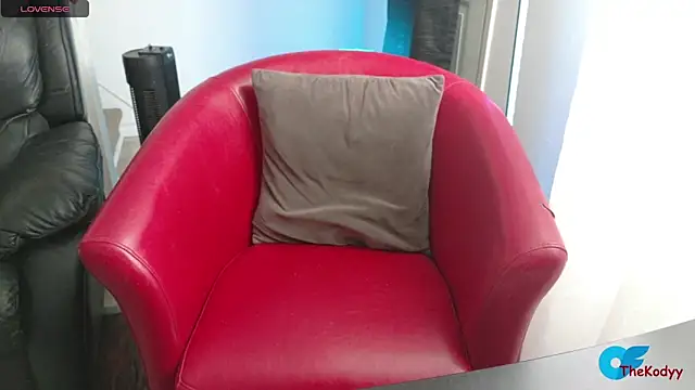 Thekodyy online show from 02-06-26, 03:48