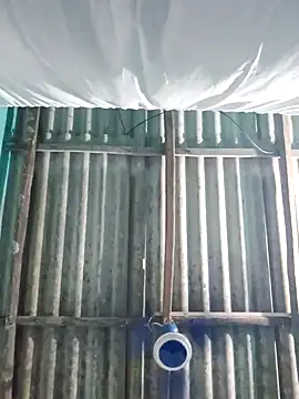 hotbaby 5 online show from 10-28-25, 02:53