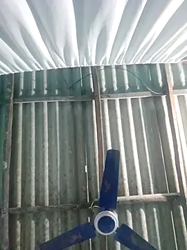 hotbaby 5 online show from 11-20-25, 02:50