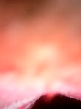 Avantika19 online show from 01-06-25, 12:13