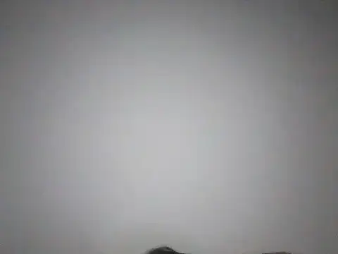 ChunkyMonkey007 online show from 12-07-24, 01:40