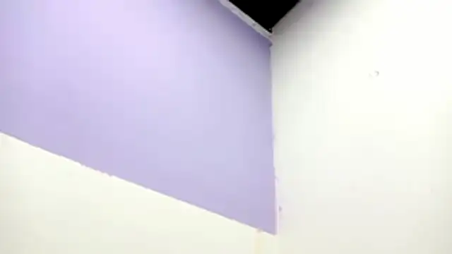 Snapshot of PetiteIvoryQueen19 chatting on 02-13-26, 01:01 PetiteIvoryQueen19 online show from 02-13-26, 01:01