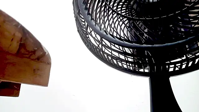 Snapshot of PetiteIvoryQueen19 chatting on 02-14-26, 01:35 PetiteIvoryQueen19 online show from 02-14-26, 01:35