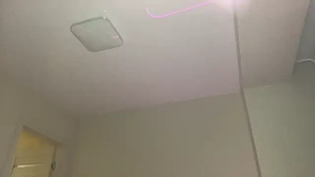 liins wet online show from 12-13-24, 07:10