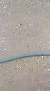 AuntyLover BhabhiLover  online show from 02-07-25, 12:50