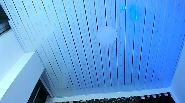 nova sex01 online show from 12-04-24, 03:59