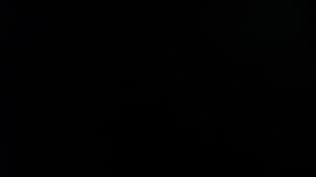 bulma milk online show from 12-17-24, 05:07