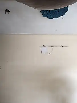 heartless  95 online show from 10-20-25, 03:29