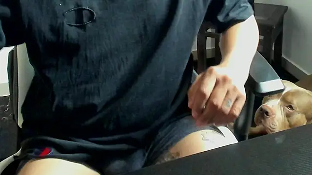 stebankechima online show from 10-15-25, 12:38