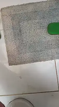 lobomisterioso13 online show from 01-30-25, 12:37