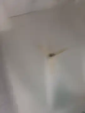 playboy 30 online show from 11-16-25, 09:04